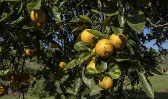 30 Mamao Pl, Haiku, HI 96708