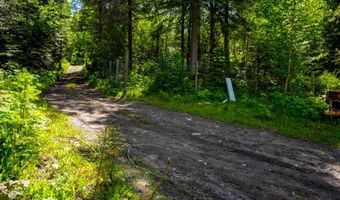 13376 Bug Creek Rd, Bigfork, MT 59911