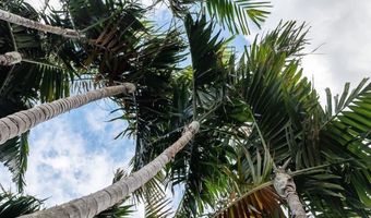 91-313 Hoalauna Pl, Ewa Beach, HI 96706