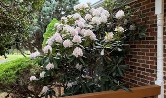 5265 BEAR HOLLOW Ln, Amissville, VA 20106