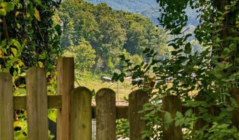 40 Governors View Rd, Asheville, NC 28805