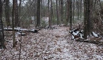 19 Th Pass Lot 19, Arkdale, WI 54613