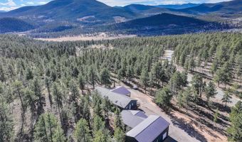 50 Road P78, Bailey, CO 80421