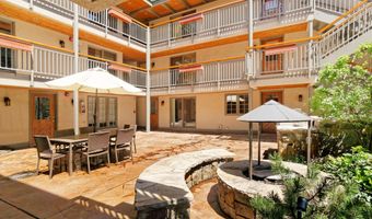630 E Cooper Ave 1, Aspen, CO 81611
