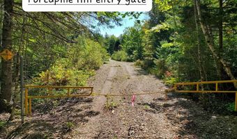 Lot 3 W. McMann & Porcupine Hill Road, Addison, ME 04606