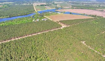 Tract 2 Ocelot, Alma, GA 31510