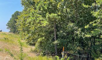 Highway 2 lot 6-9, Antlers, OK 74523
