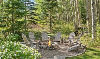 9555 Castle Creek Rd, Aspen, CO 81611