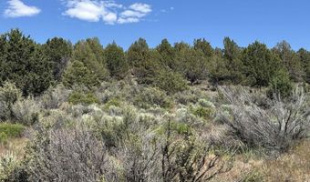 Medicine Mountain Drive 1, Beatty, OR 97621