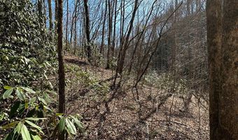 Lot 7 Valley View Heights Lane, Andrews, NC 28901