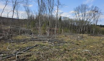 295 Shellstone Rd, Amsterdam, NY 12010