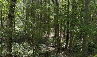 Washington Street lot 33 34 35, Barrington, NH 03825