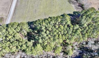 Creek Place Road, Arapahoe, NC 28510