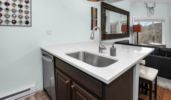 411 Eagle Drive 5, Avon, CO 81620