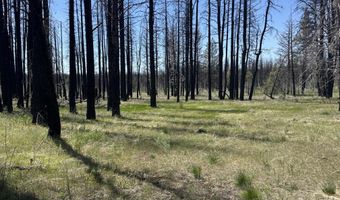 Off Hicks Road Lot 3, Bly, OR 97622