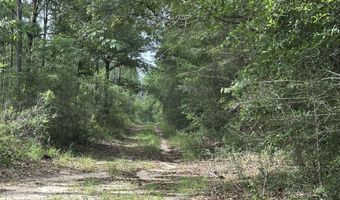 40 Ac +/- Old River Rd, Baker, FL 32531