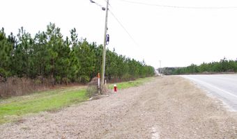 TBD Highway 167, Enterprise, AL 36330