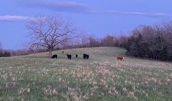 1307 Route Af, Ava, MO 65608