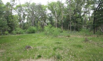 2018 W 9th Ave, Adams, WI 53910