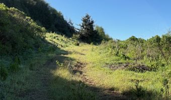 Dale CT 2, Brookings, OR 97415