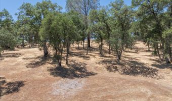 362 Blair Mine, Angels Camp, CA 95222