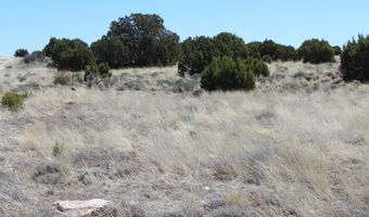 80 County Road 8620, Concho, AZ 85924