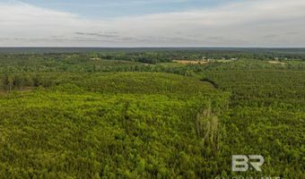 Flowers Road, Bay Minette, AL 36507