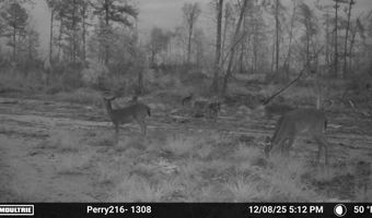 US Hwy 98, Beaumont, MS 39423