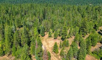 151 Timber Haven Pl, Cascade, ID 83638