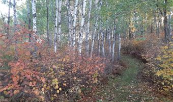 31538 County 23, Akeley, MN 56433