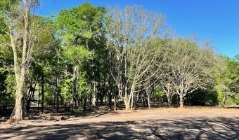 3109 US Hwy 129, Bell, FL 32619