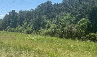 HIGHWAY 431 lot 0, Alexandria, AL 36250