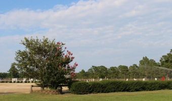 450 Addor Rd, Aberdeen, NC 28315