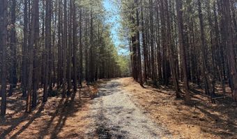 MOUNTAIN CUT RD lot B, Appomattox, VA 24522