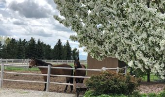 113 Equus Loop, Bellevue, ID 83313