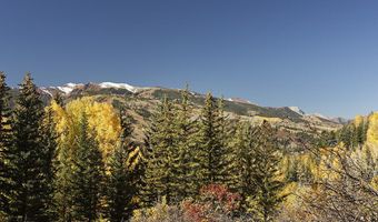1036 Red Mountain Rd, Aspen, CO 81611