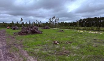 9 219 Ac Rhine Alma GA Rd, Alma, GA 31510