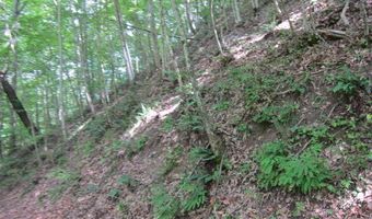 43 Sanctuary Ln, Alderson, WV 24910