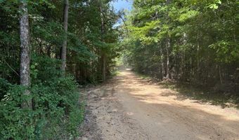 SW Auburn Drive, Bogue Chitto, MS 39629