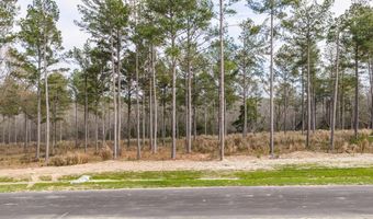 159 Beagle Chase Dr, Appling, GA 30802