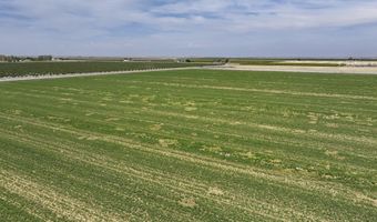 Road 38, Alpaugh, CA 93201