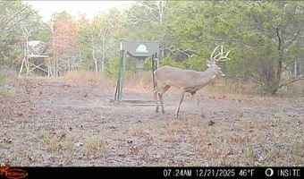428665 E 1920 Rd, Antlers, OK 74523