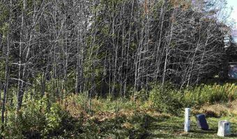 6430 6648 Admirals Point Drive Lot 9 Boat Slip 142, Alanson, MI 49706