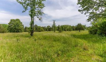676 County Road 403, Alton, MO 65606