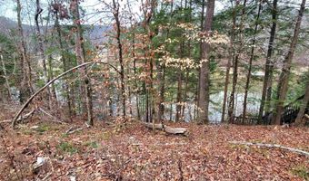458 County Road 4036, Arley, AL 35541