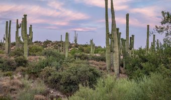 41927 N SAGUARO FOREST Dr 107, Scottsdale, AZ 85262