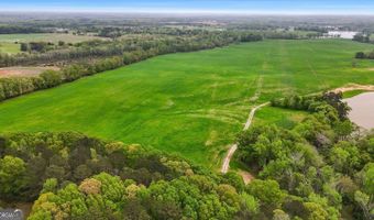 377 Acres Brent, Barnesville, GA 30204
