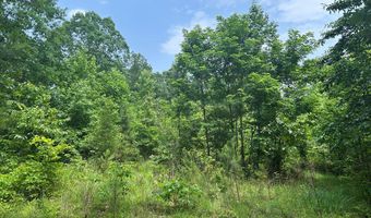 Sardis Lake Drive, Batesville, MS 38655
