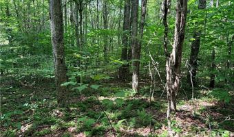 Chestnut Mountain Road, Banner Elk, NC 28604