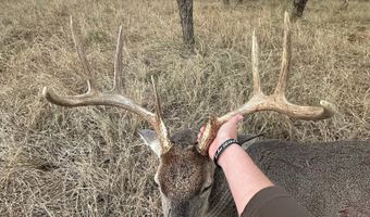 6525 US 180, Anson, TX 79501